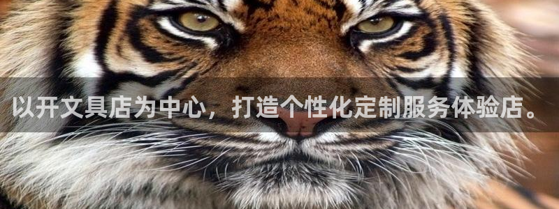 卧龙娱乐拆卡