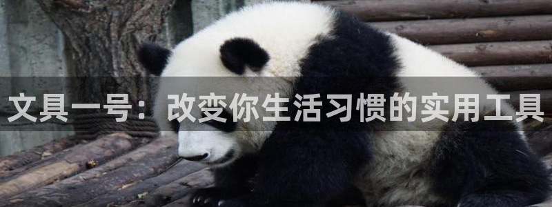 卧龙凤锄娱乐演员：文具一号：改变你生活习