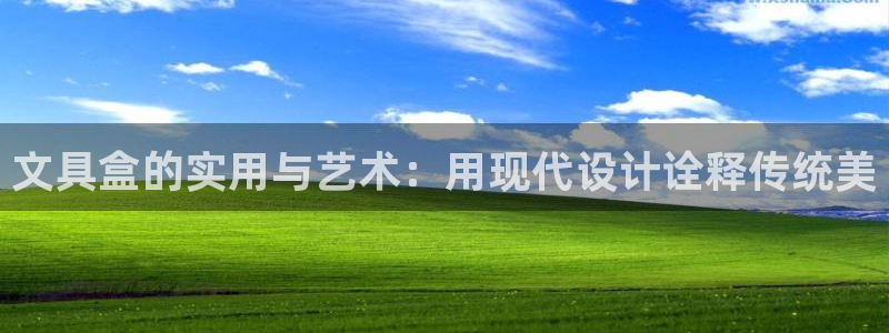 卧龙娱乐挂机平台官网