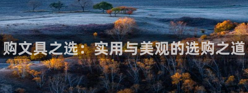 凤岗卧龙台球娱乐会所：购文具之选：实用与