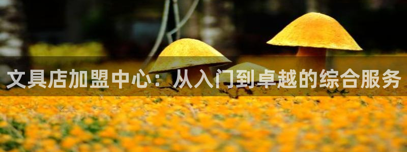 卧龙区微微娱乐商城：文具店加盟中心：从入