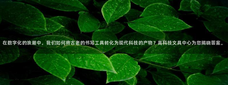 卧龙水上娱乐：在数字化的浪潮中，我们如何