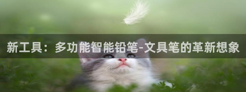 卧龙2娱乐雀711112：新工具：多功能