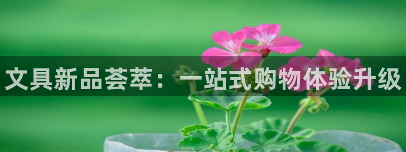 卧龙娱乐怎么样啊：文具新品荟萃：一站式购