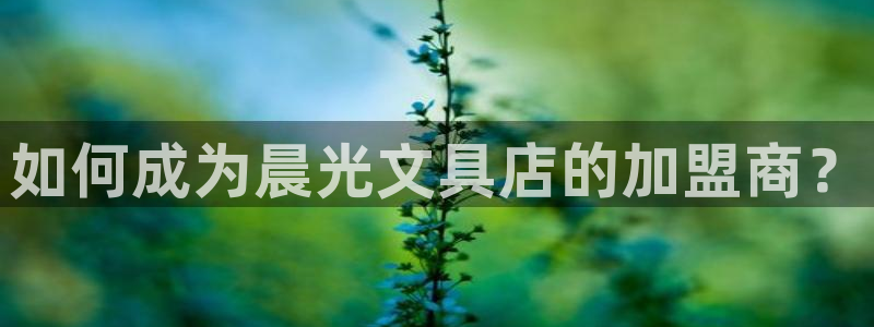 卧龙娱乐测速：如何成为晨光文具店的加盟商