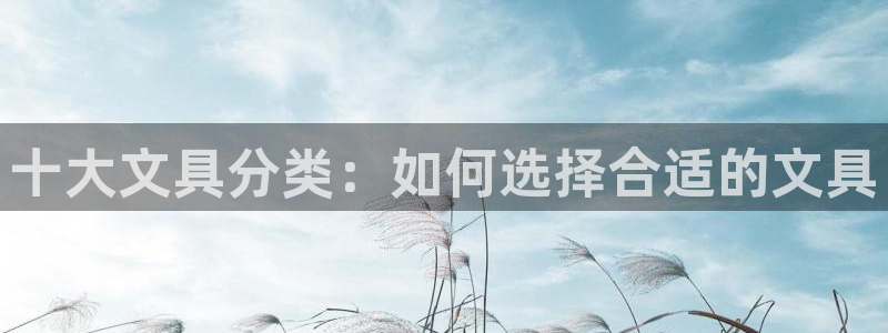 卧龙凤雏娱乐夫妻：十大文具分类：如何选择