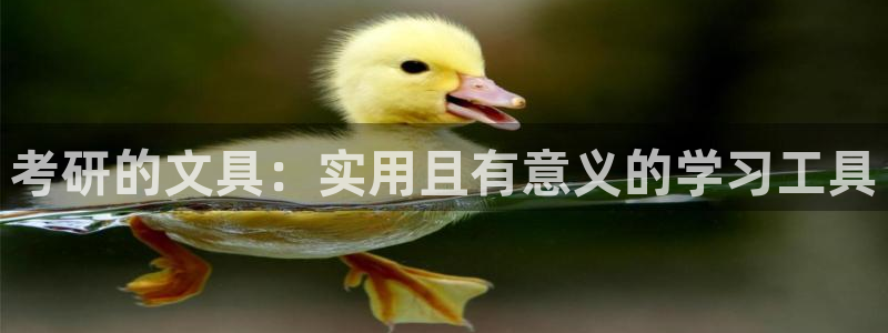 卧龙娱乐怎么注册：考研的文具：实用且有意