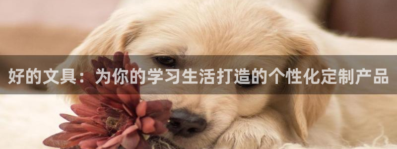 卧龙娱乐3月10日开：好的文具：为你的学