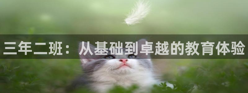 卧龙湾娱乐设施：三年二班：从基础到卓越的