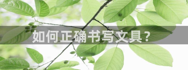 卧龙娱乐是什么：如何正确书写文具？