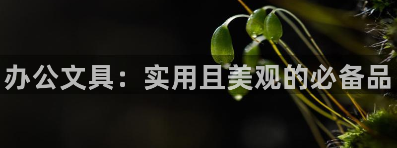 卧龙娱乐总代理电话：办公文具：实用且美观