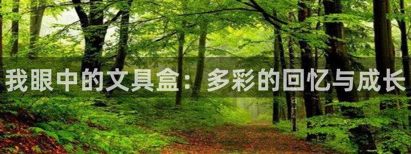 卧龙娱乐集团：我眼中的文具盒：多彩的回忆