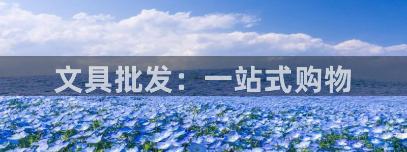 卧龙娱乐：文具批发：一站式购物