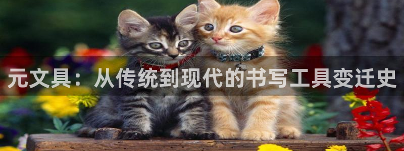 卧龙娱乐直播间：元文具：从传统到现代的书