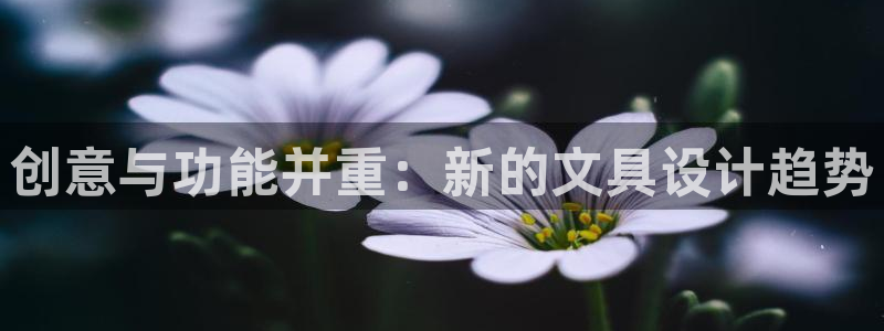卧龙娱乐计划：创意与功能并重：新的文具设