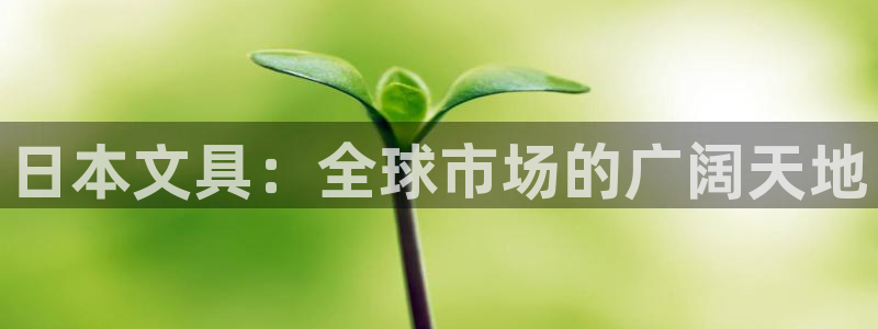 卧龙娱乐主管：日本文具：全球市场的广阔天