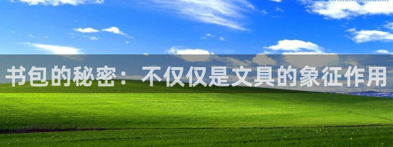 太和卧龙娱乐会所：书包的秘密：不仅仅是文