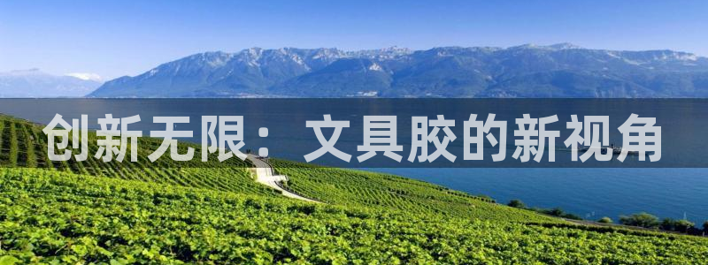 卧龙娱乐怎样注册：创新无限：文具胶的新视
