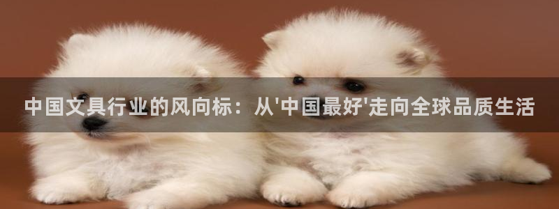 卧龙凤雏娱乐直播：中国文具行业的风向标：