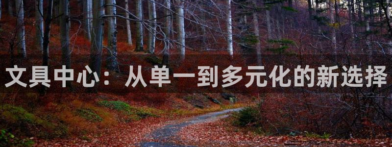 卧龙娱乐在线直播：文具中心：从单一到多元