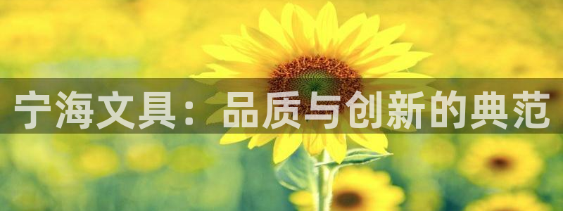 卧龙娱乐396667：宁海文具：品质与创