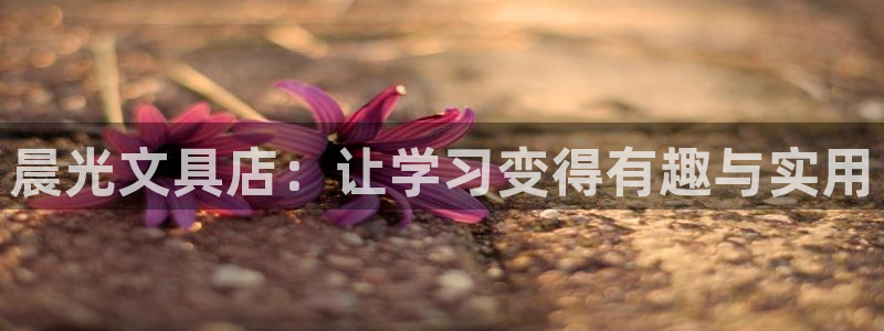 卧龙娱乐彩票怎么玩：晨光文具店：让学习变