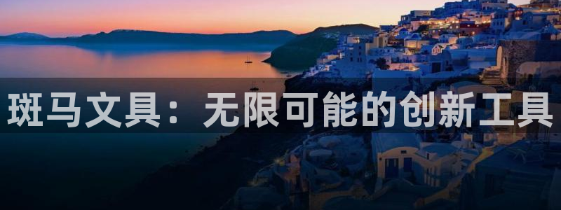 卧龙娱乐气垫项目投资：斑马文具：无限可能