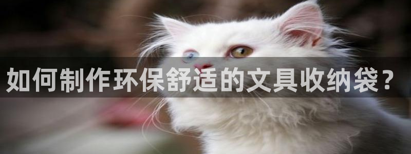 卧龙湾娱乐项目有哪些：如何制作环保舒适的