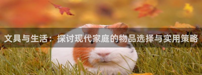 卧龙娱乐集团投注：文具与生活：探讨现代家