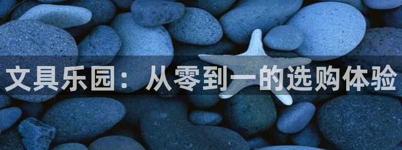 卧龙娱乐桐333OO：文具乐园：从零到一