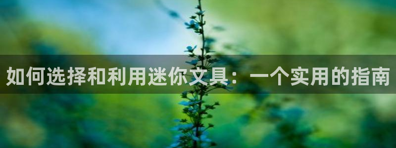 卧龙台球娱乐馆：如何选择和利用迷你文具：