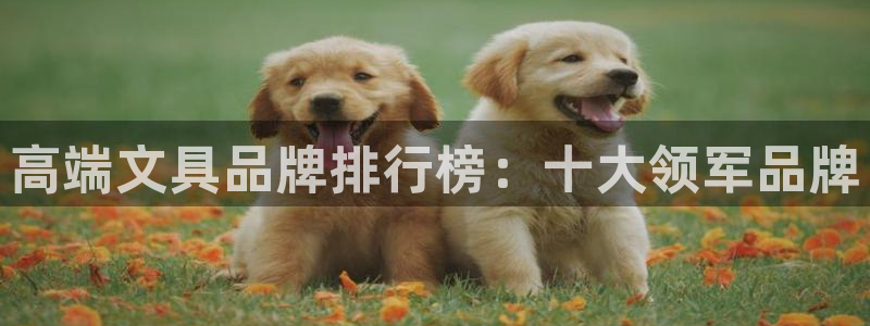 卧龙娱乐怎样注册账号啊：高端文具品牌排行