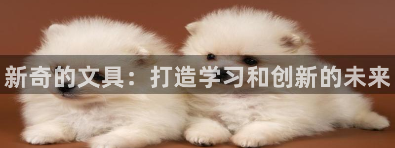 卧龙娱乐注册地址是哪里：新奇的文具：打造