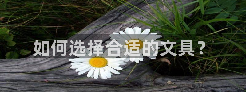 卧龙水上娱乐：如何选择合适的文具？