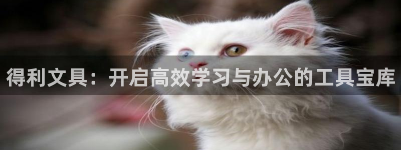 卧龙谷娱乐：得利文具：开启高效学习与办公