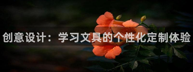 卧龙娱乐下载安装：创意设计：学习文具的个