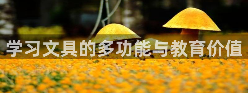 卧龙棋牌娱乐：学习文具的多功能与教育价值