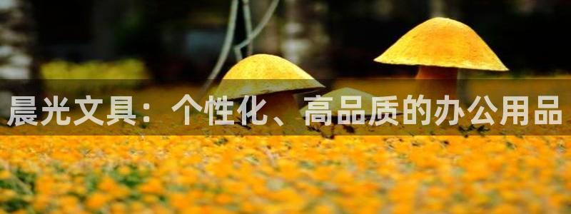 卧龙娱乐挂机：晨光文具：个性化、高品质的