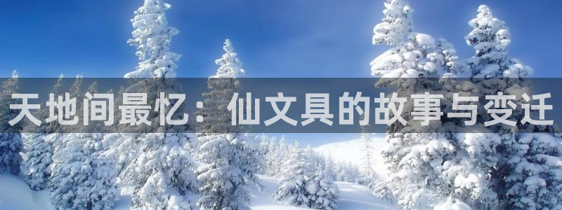 卧龙娱乐属于什么行业：天地间最忆：仙文具