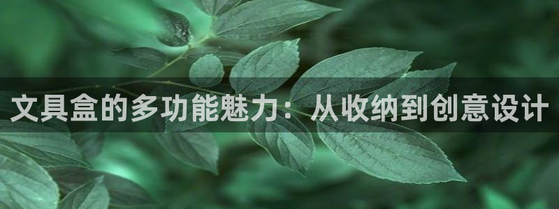 卧龙娱乐属于哪个集团：文具盒的多功能魅力