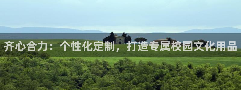 卧龙区休闲娱乐：齐心合力：个性化定制，打