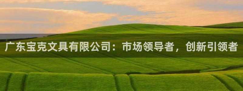 卧龙娱乐平台：广东宝克文具有限公司：市场