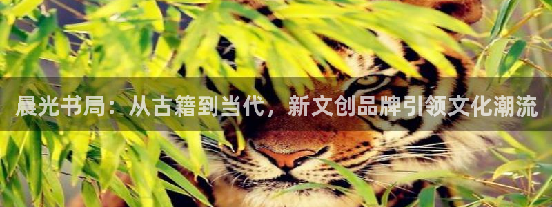 卧龙棋牌娱乐官网首页：晨光书局：从古籍到