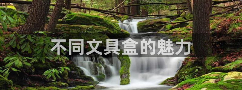 卧龙牧原娱乐设施：不同文具盒的魅力