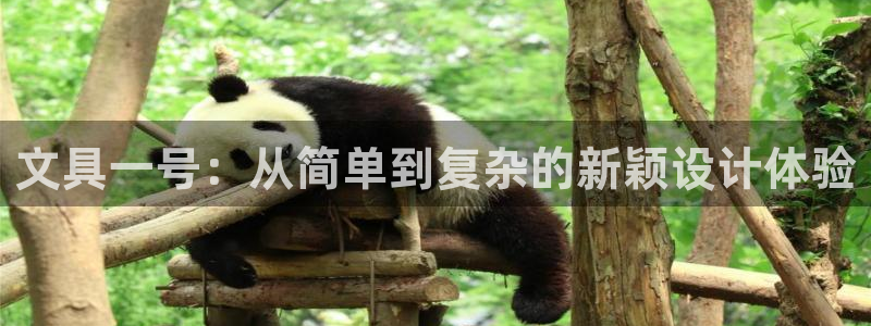 卧龙凤雏娱乐图：文具一号：从简单到复杂的