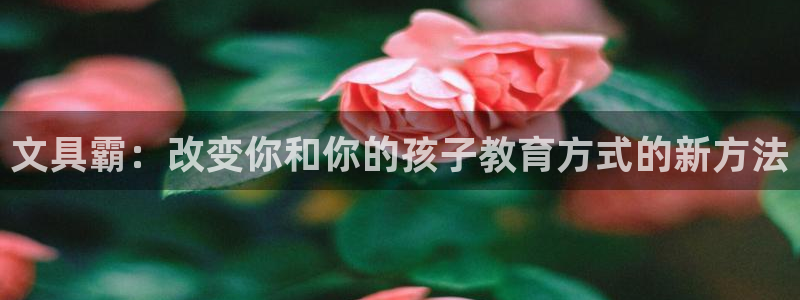 卧龙2神机娱乐注册：文具霸：改变你和你的