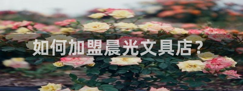 卧龙娱乐招商代理是谁：如何加盟晨光文具店