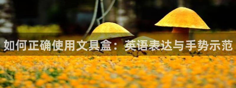 卧龙娱乐后：如何正确使用文具盒：英语表达