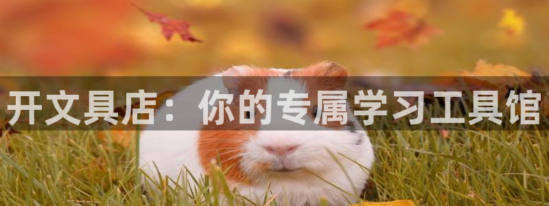 卧龙娱乐平台：开文具店：你的专属学习工具