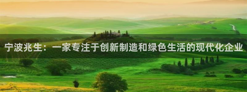 卧龙娱乐下7O667：宁波兆生：一家专注